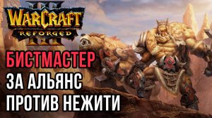БИСТМАСТЕР ЗА АЛЬЯНС ПЕРВЫМ ГЕРОЕМ: Cas (Hum) vs Gulman (Ud) Warcraft 3 Reforged