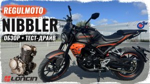 Regulmoto Nibbler - Дорожный бюджетный мотоцикл с мотором Loncin FE300