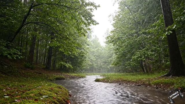 Непогода 🎵 Песня смотреть онлайн