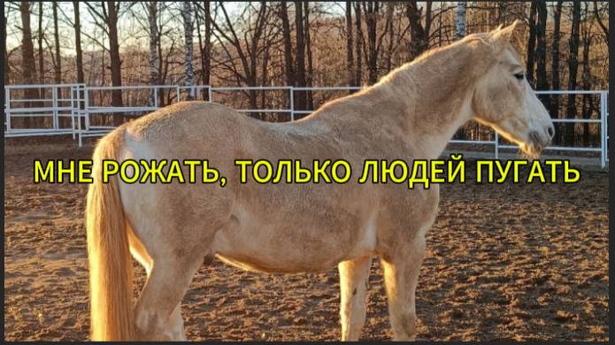 Мне рожать, только людей пугать смотреть онлайн