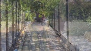 Обзор санатория "Южнобережный" В Крыму ( Алупка). *см.описание*