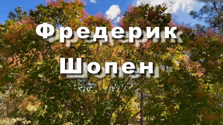 Фредерик Шопен. Ноктюрн № 19. Классическая музыка. Музыка для души смотреть онлайн