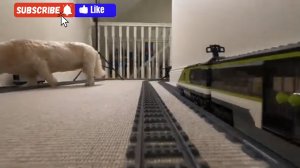 Лего поезда ездят по дому играем