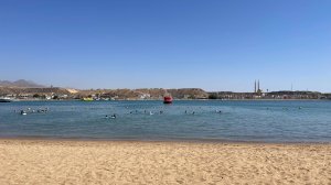 XPERIENCE ST. GEORGE HOMESTAY 4* , Песчаный пляж Сэнди (Бухта Шарм-эль-Мойя)