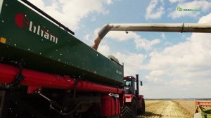 Репортаж Agrobook: Трехзвенная уборка с бункером-перегрузчиком Liliani в ООО  «Юбилейное»