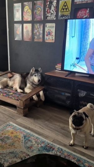 Превышение децибельных полномочий
