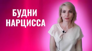 Будни нарцисса