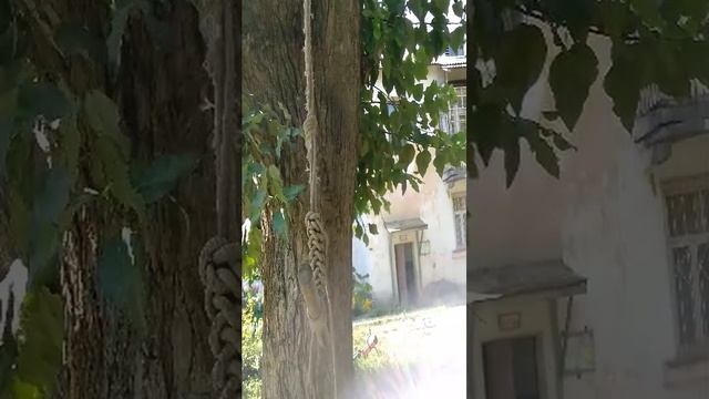 отмечаем 100 пд