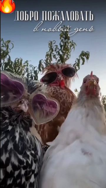 Пятница. доброе утро смотреть онлайн