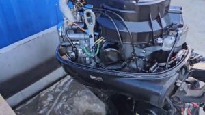 Suzuki DF25 V-TWIN (880880)