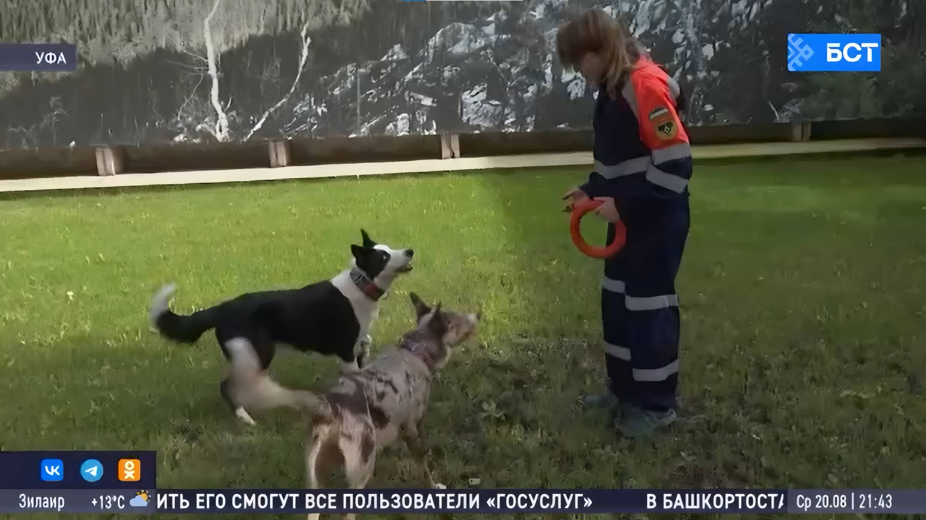 Спасатели Башкирии рассказали о своих пушистых помощниках смотреть онлайн