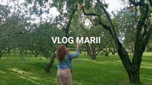 🍏 СБОР ЯБЛОК В САДУ И ПРИГОТОВЛЕНИЕ СЫРА 🧀 СВОИМИ РУКАМИ.