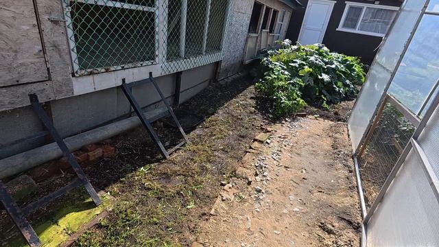 Все в дом. Гонка припасов на сибирскую зиму смотреть онлайн