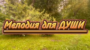 Великолепная гитара, Мелодия для души, прогулка по ПАВЛОВСКУ