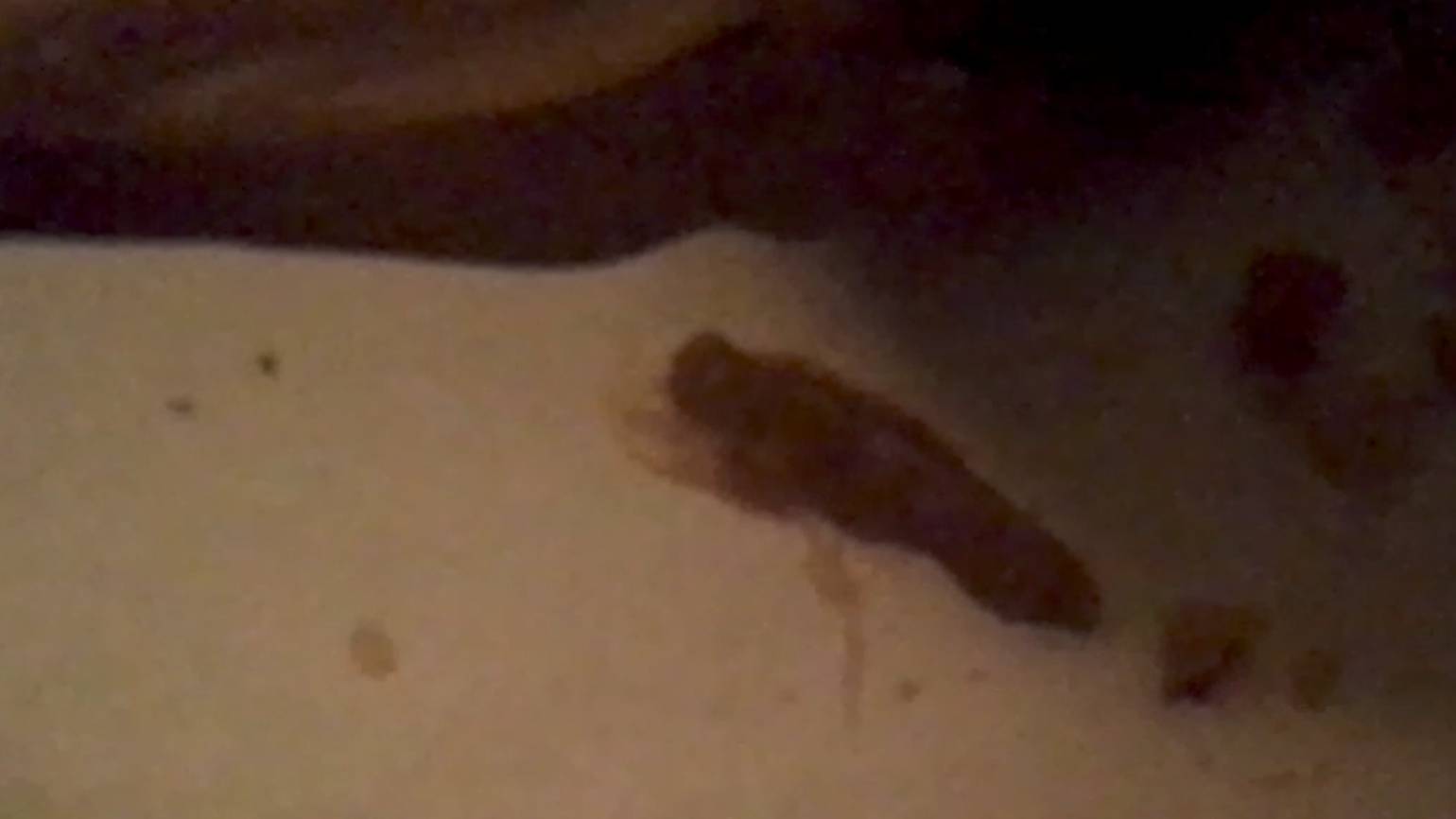 💚 🔥👊🔥 пс.90й и его результ-ы)🔥👊🔥