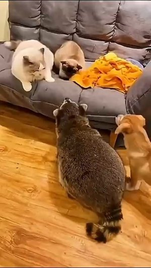 Улыбнитесь😂😂😂