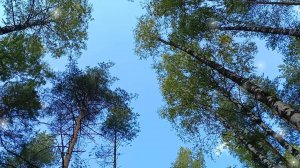 И БУДУ Я ВСЕГДА С ТОБОЙ!