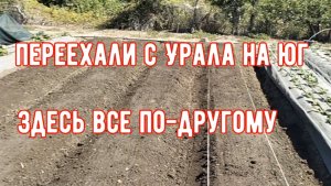 #67🌷Делаю клубничные грядки/Закупилась/Порезала палец/Пирожки с капустой и ливером/