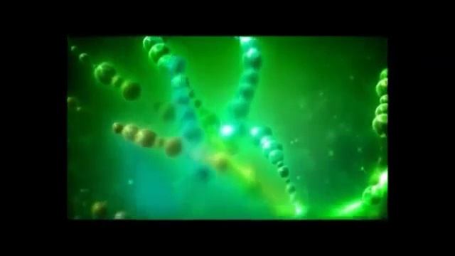#ЖИТЬВКАЙФ смотреть онлайн