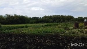 Распаковка /глаза боятся а руки делают