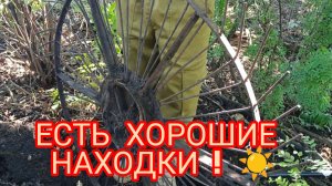 МЕТАЛЛОКОП ЕСТЬ ХОРОШИЕ НАХОДКИ👍