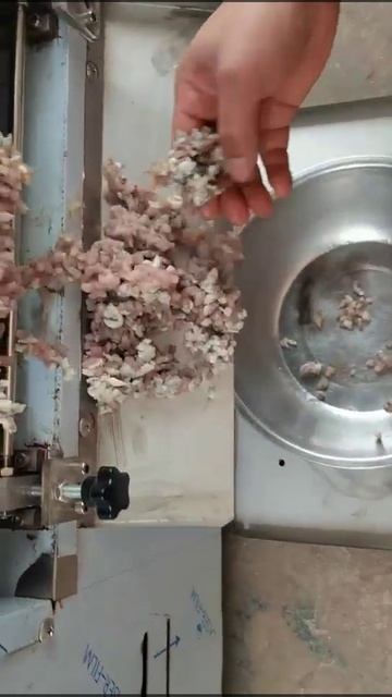 Кубикорезка-слайсер с двумя конвейерами Roal Meat RM-600 смотреть онлайн