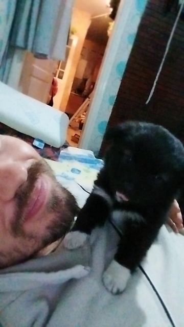 Знакомьтесь, это любимая Пышечка, к сожалению её больше нет с нами :( смотреть онлайн