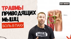 Боль в паху. Травмы приводящих мышц