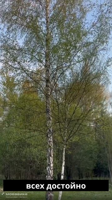 Натали Силаева "Благословенная земля..." (авторское). Текст - в описании. смотреть онлайн