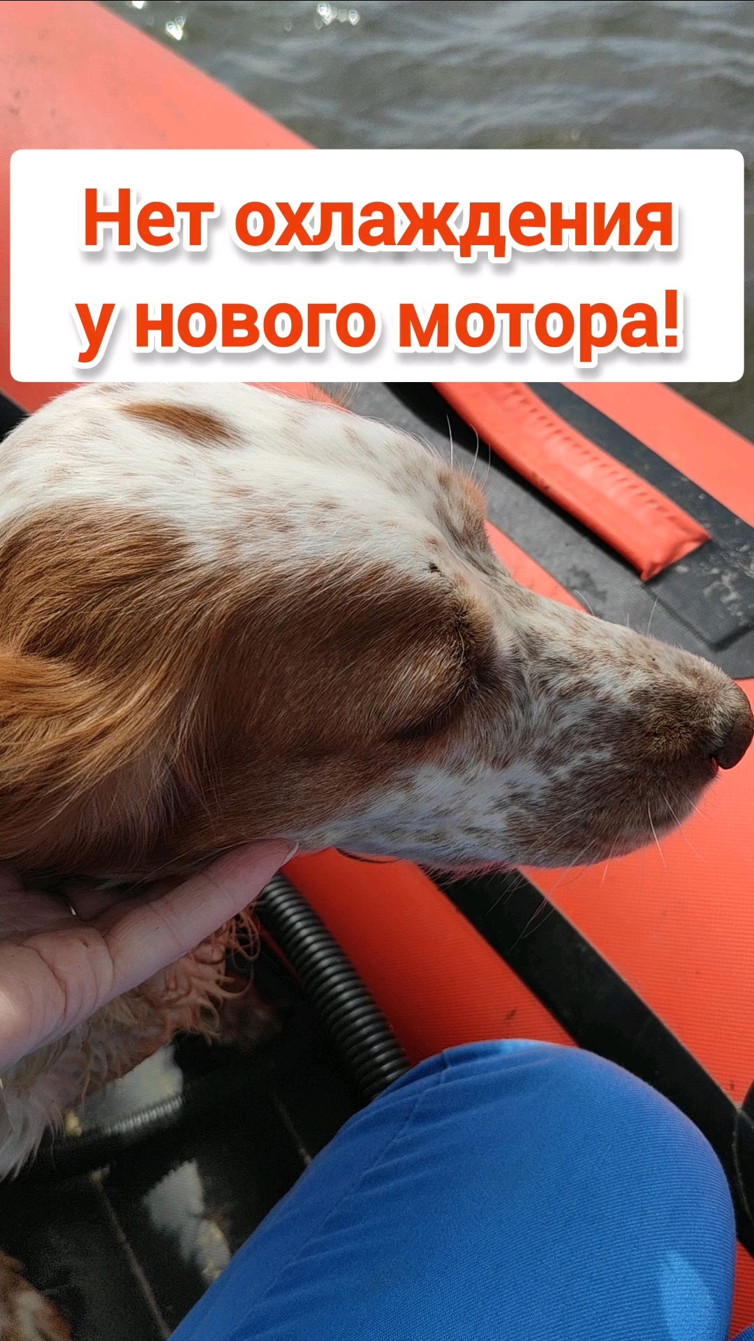 одна из сотни возможных причин, почему нет охлаждения на новом моторе!