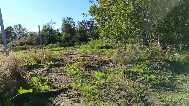 24053.mp4 смотреть онлайн