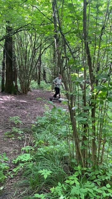 На самокате по лесу!!! #whitesiberia #электросамокат #самокат #челлендж #проходимость #рек #тренд смотреть онлайн