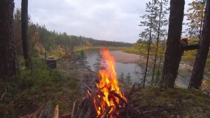 Вот это РЫЫЫБАА!!! Такую ещё не ловили!!! Бешеный клёв в дождливую погоду! Быт рыбаков в тайге. 1ч.