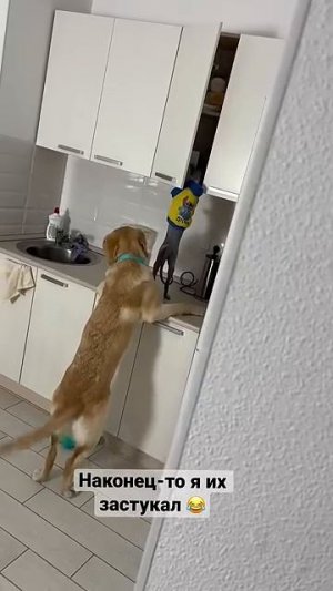 Самое популярное видео Дени и Мэни 🔥