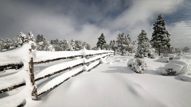 КЛЁН ТЫ МОЙ ОПАВШИЙ. Романс на стихи Сергея Есенина.- Наталья Соколова