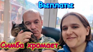 Симба у врача. День в документах. Пособия, СО. (08.25г.) Семья Бровченко.