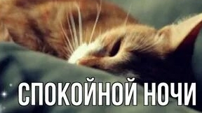 Спокойной ночи и сладких снов. Музыкальная открытка пожелание. смотреть онлайн