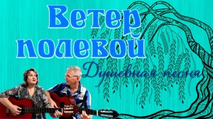 Ветер полевой|Ивушка. Душевная песня. Марсель Давлетов #песниподгитару