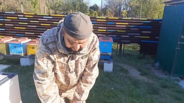 Технология Двухматочного Содержания Содержания Пчёл!!! смотреть онлайн