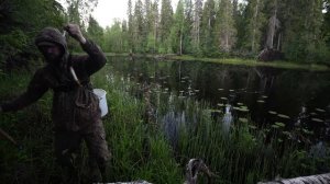 Ловля Окуня