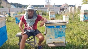 За сколько хочу, за столько и продаю. Молодых пчёл всего на одну рамку. Беда