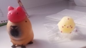 УХАЖИВАЮ ЗА СКВИШАМИ?!