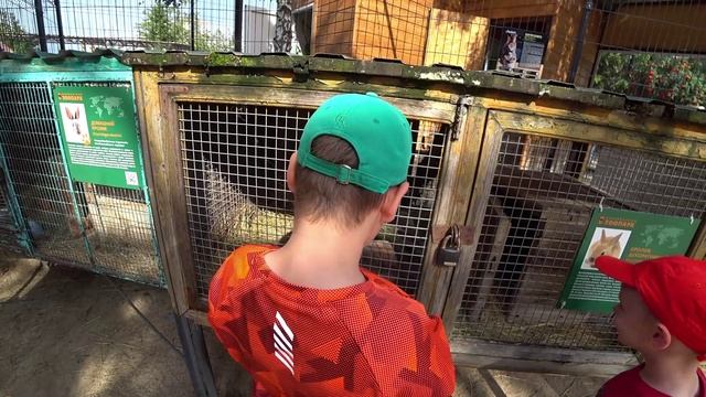 челябинский зоопарк 2025