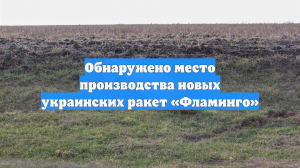 Обнаружено место производства новых украинских ракет «Фламинго»
