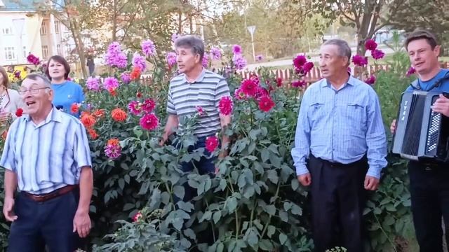 ансамбль Родные напевы Я встретил розу смотреть онлайн