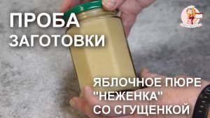 Пробую свои ЗАГОТОВКИ (Выпуск №6). Яблочное пюре со сгущенкой «Неженка». Плюс вариант использования