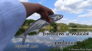 Бывает и такая рыбалка. Верхний Дон август 2025 год Обзор нашего быта на природе