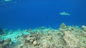 Мальдивы 2025. Расду.