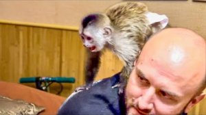 ПЕРВАЯ РЕАКЦИЯ ФИНИКА НА ЛЮСЬКУ! Мы такого не ожидали, Финик стал ЗАЩИЩАТЬ Анфису!