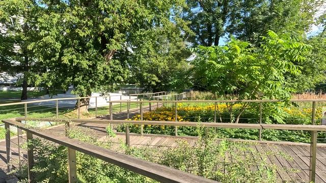 ВДНХ | Москва | куда сходить в Москве | прогулка по Москве смотреть онлайн